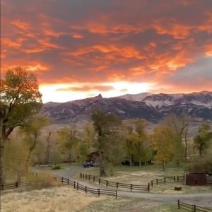 ‼️ ATTENTION!! ‼️